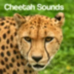 Logo of Cheetah Sounds android Application 