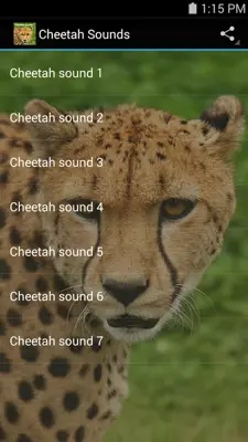 Cheetah Sounds android App screenshot 0